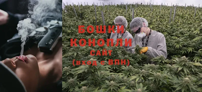 Канабис Ganja  что такое наркотик  Вятские Поляны 